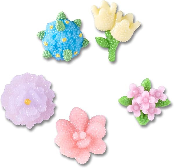 Crocs Jibbitz Flowers Shoe Charm Packs, Beaded Flowers, 5-Pack | Amazon (US)