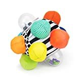 Amazon.com: Sassy Developmental Bumpy Ball | Easy to Grasp Bumps Help Develop Motor Skills | for ... | Amazon (US)