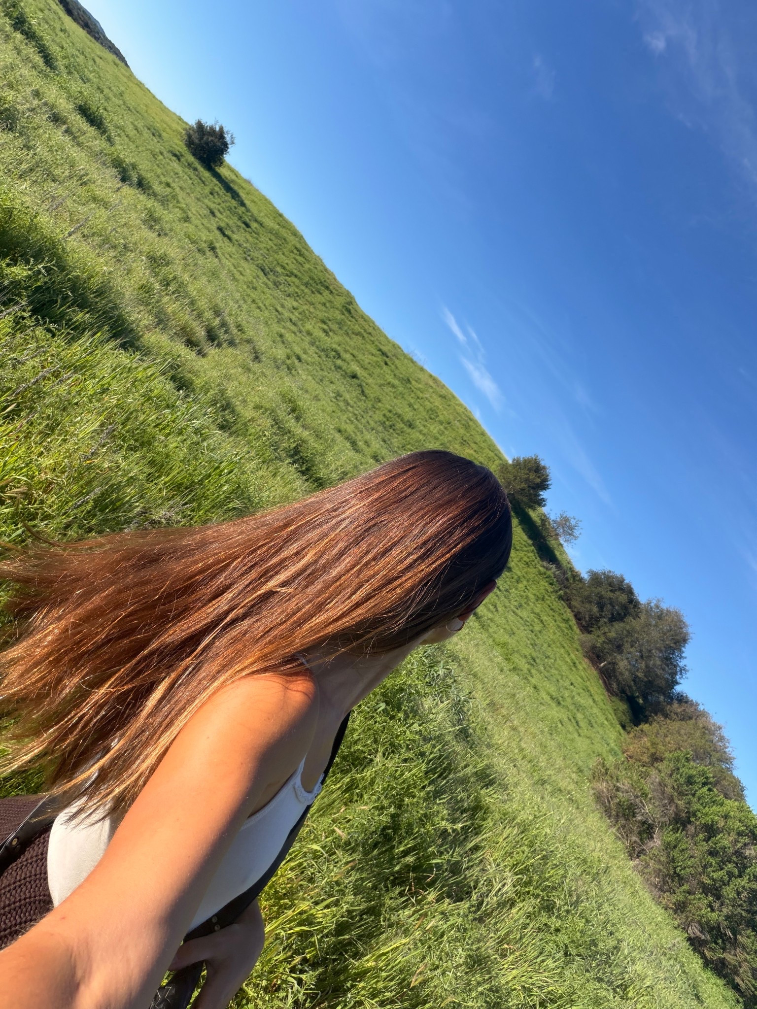 Some hair favorites from @Target with spring coming up! These are the best for warmer air and happy hair!🍃🌸

#LTKdayinmylife #LTKgrwm #LTKBeauty