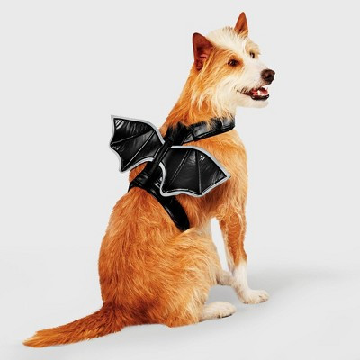 Bat Wings Rider Reflective Halloween Dog Costume - S/M - Boots & Barkley™ | Target