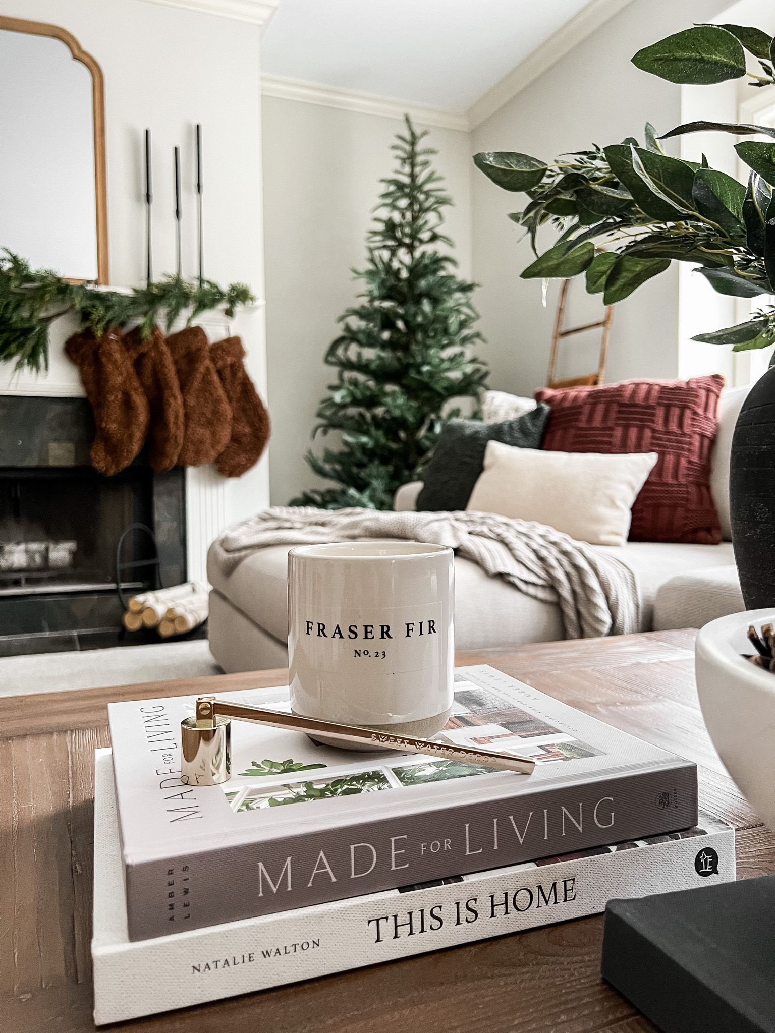 The perfect Christmas candle for your hostess gifts! 


Sweet water decor stoneware candle coffee table books Christmas decor Christmas tree brown stocking Christmas stocking mantel decor 

#LTKunder50 #LTKstyletip #LTKsalealert