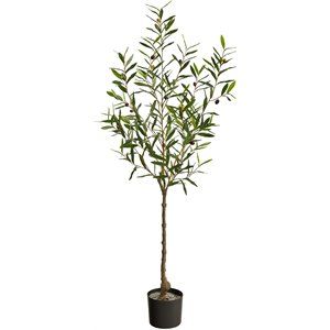 Nearly Natural 60" Olive Artificial Tree with Faux Olives in Green/Black | Homesquare