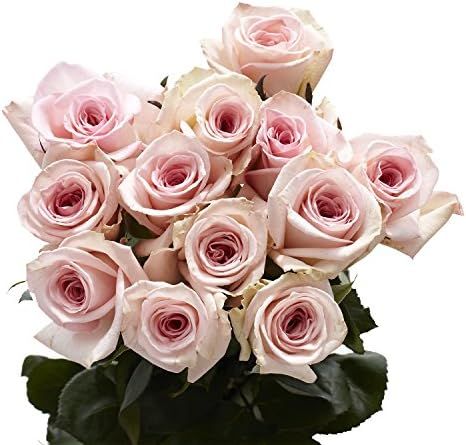Pink Roses - Fresh Flower Delivery- 50 Lovely Stems | Amazon (US)