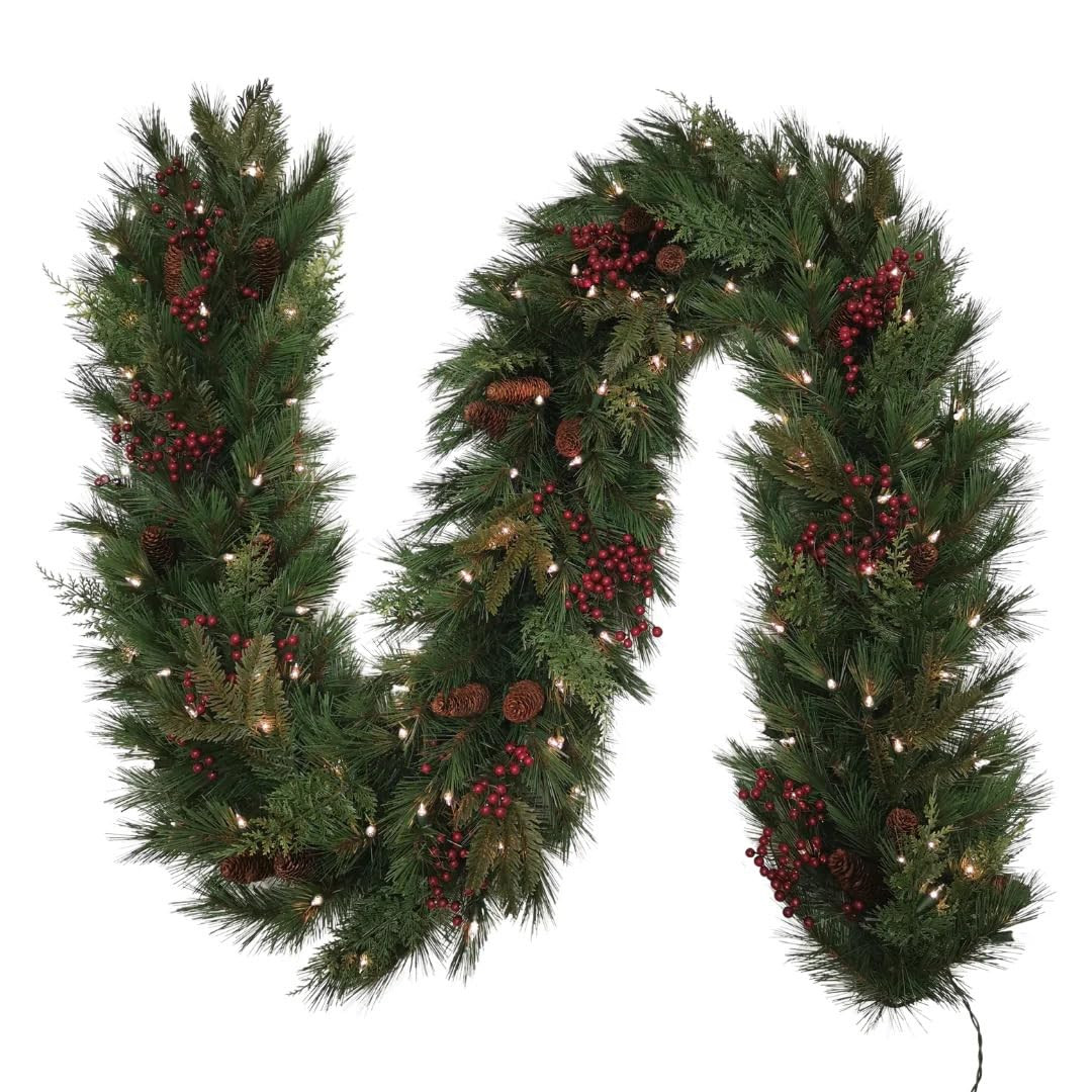 Plymouth Garland, Battery Operated, Dual Color LED Lights, 6-12 ft, Indoor/Outdoor (9' Plug in In... | Amazon (US)