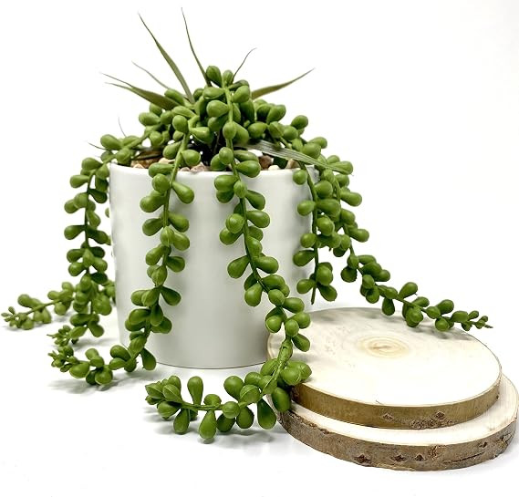 WERANDAH Artificial Succulents Faux Plant String of Pearls in Pot | Shelf Tabletop Greenery | Ind... | Amazon (US)