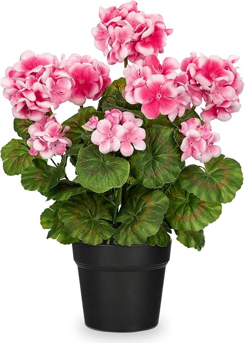 Briful Artificial Geranium Potted Plant – 16” Tall, Realistic Silk Flowers with Vibrant Green... | Amazon (US)