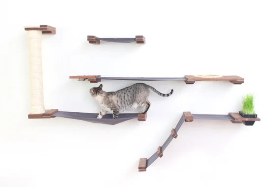 Cat Mod - Bunker | Etsy (US)