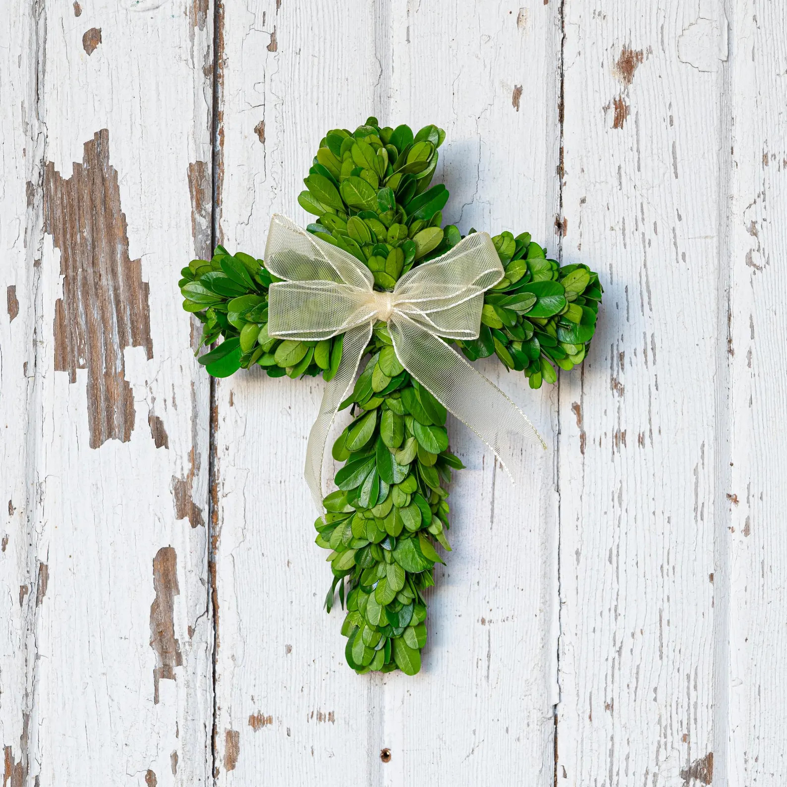Preserved Boxwood Cross With Ribbon - 8 Inch - Etsy | Etsy (US)