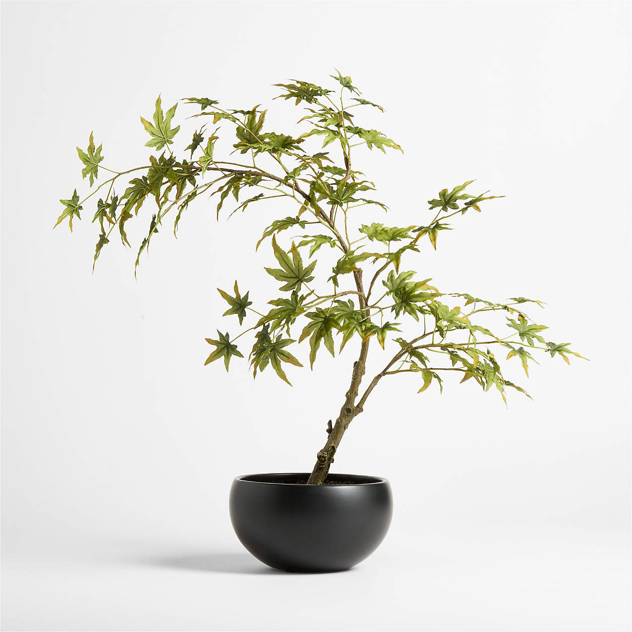 Potted Faux Japanese Maple Tree Green 24" + Reviews | Crate & Barrel | Crate & Barrel