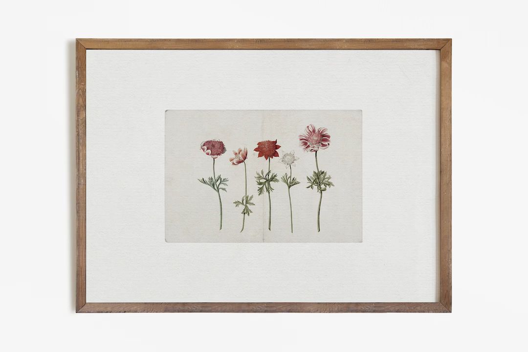 Vintage Botanical Print | Flower Watercolor | Farmhouse Digital PRINTABLE #463 | Etsy (US)