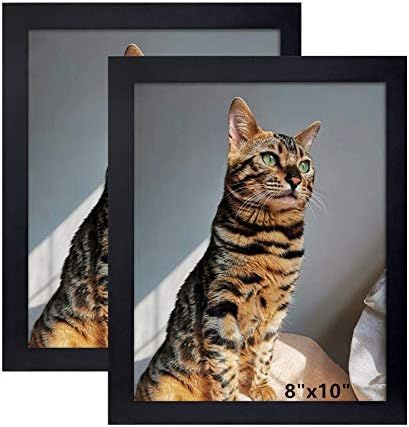 Picture Frame 8x10 Inch Set of 2 ,Made of Wood, Wall Mount Vertically or Horizontally-Photo Frame... | Amazon (US)