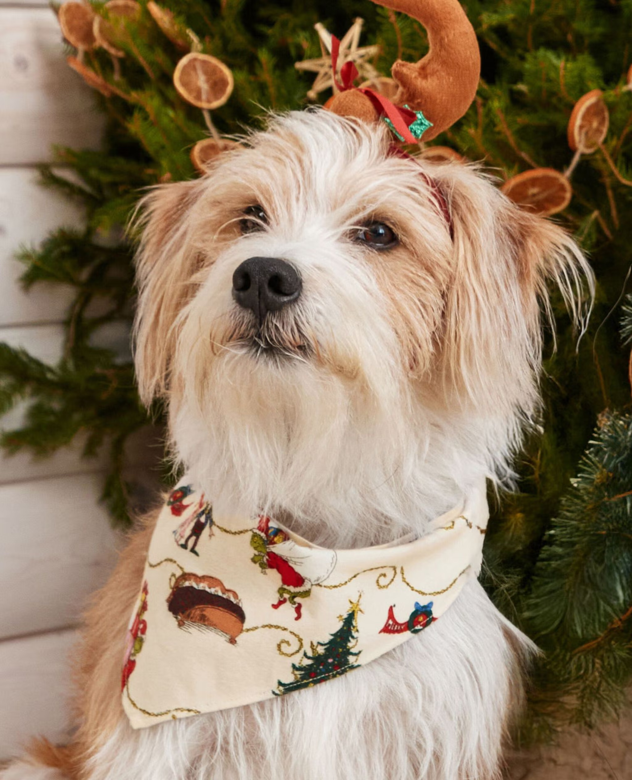 Dr. Seuss Grinch Flannel Dog Bandana | Hanna Andersson