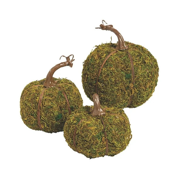 Halloween Moss Pumpkins (3) - Home Decor - 3 Pieces - Walmart.com | Walmart (US)
