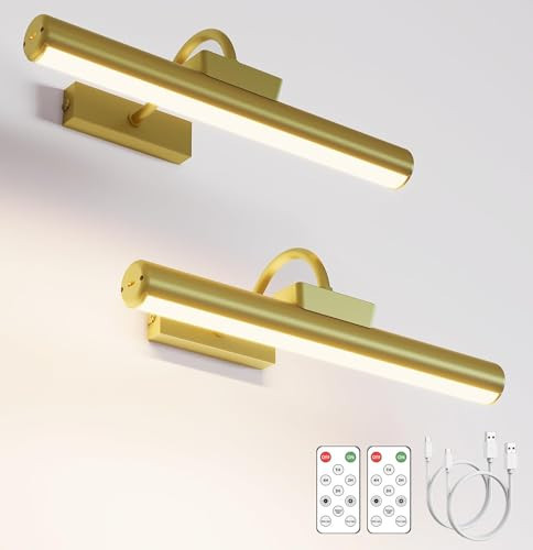 Picture Light Battery Operated, 13in Wireless Art Light for Paintings, Dimmable 5000mAh Recharging Battery Picture Light with Remote Control for Wall, Gallery Dartboard Art Bedroom (Gold-2Pack) | Amazon (US)
