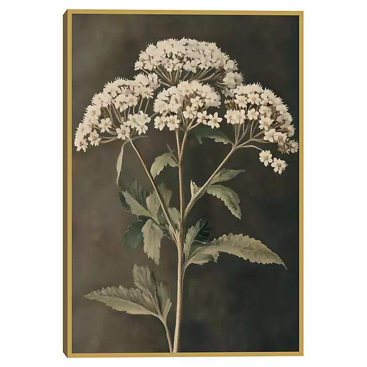 New! Sophisticated Floral Portrait Framed Canvas Print | Kirklands