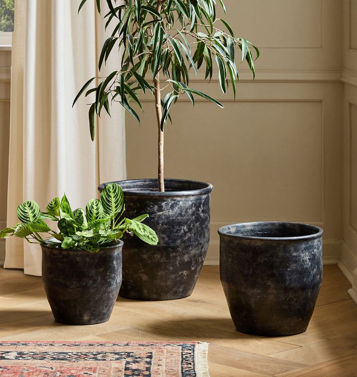 Antique Terracotta Planters | Rejuvenation