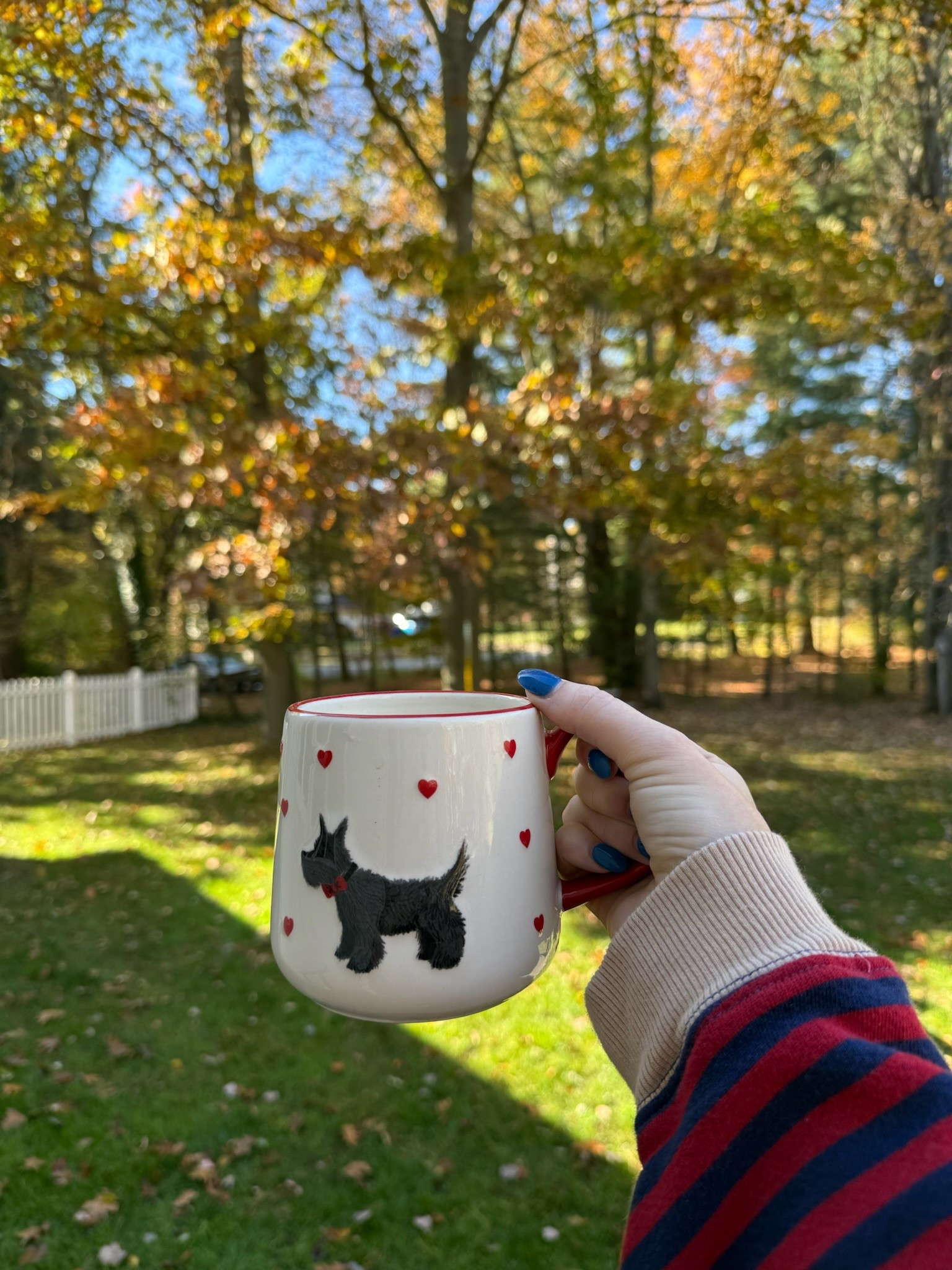 Found this mug at Home Goods but linking a couple other super cute dog mugs 🥰

#LTKHome