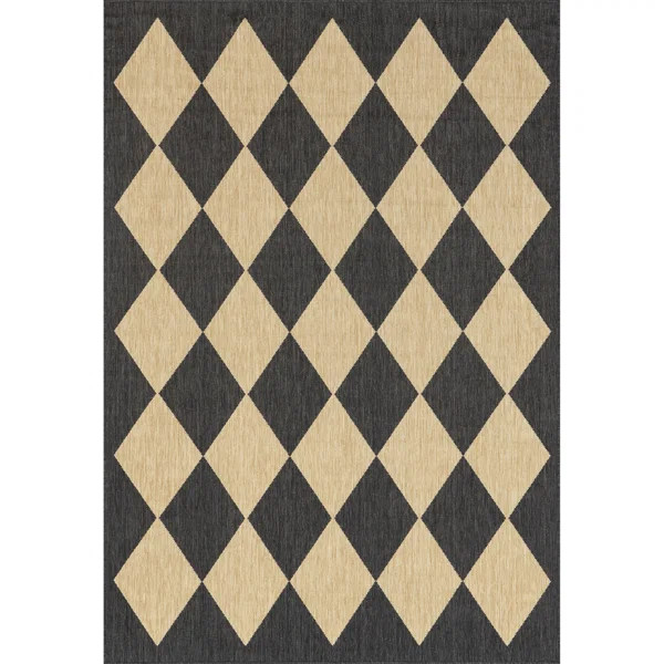 Sabina Diamond Trellis Indoor/Outdoor Area Rug | Wayfair North America