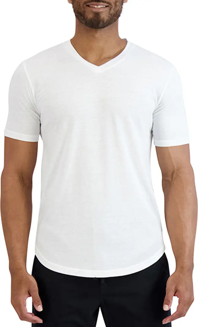Scallop V-Neck T-Shirt | Nordstrom