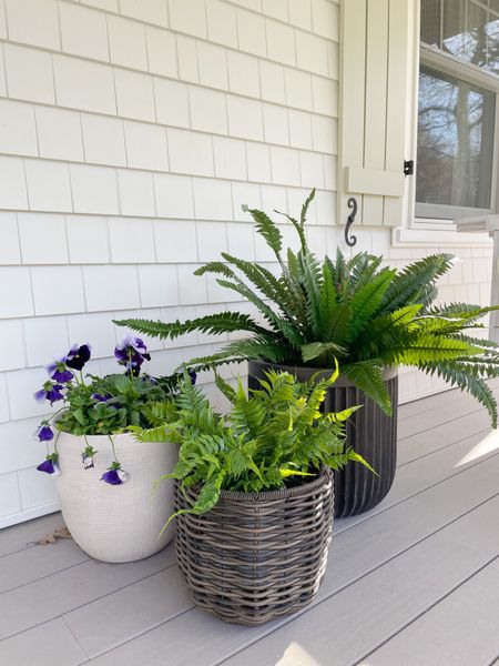 Faux Greenery

Home  home decor  home favorites  outdoor decor  outdoor plants  planter  faux greenery  spring home  spring home decor 

#LTKhome #LTKSeasonal