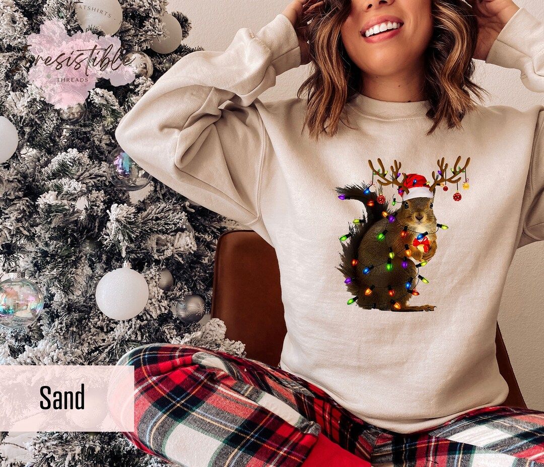 Christmas Squirrel Sweatshirt Gift For Kids, Kids Christmas Sweatshirt, Santa Hat Hoodie, Christm... | Etsy (US)