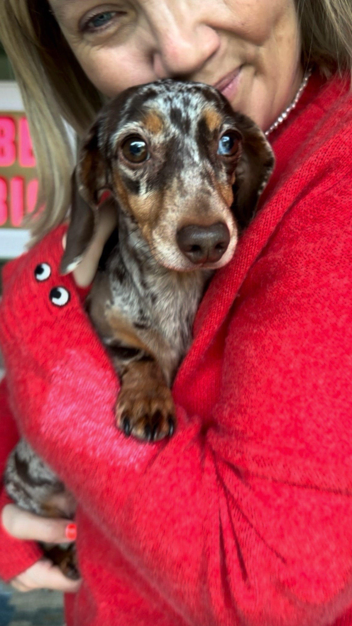 Leopard print and red.
Plus Babs.
INPO X


#LTKuk #LTKjeans #LTKover50style