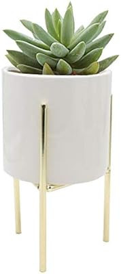 Cove Studio Modern Style Succulent Plant Pot (Gold Metal Base) White Ceramic Planter for Small Pl... | Amazon (US)