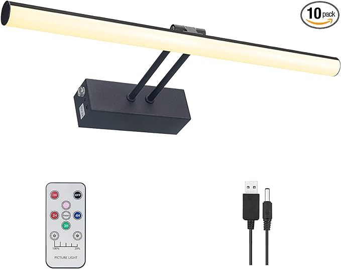 HOWMZON Wireless Picture Light, Battery Operated Picture Light with Remote, 16" Full Metal Art Li... | Amazon (US)