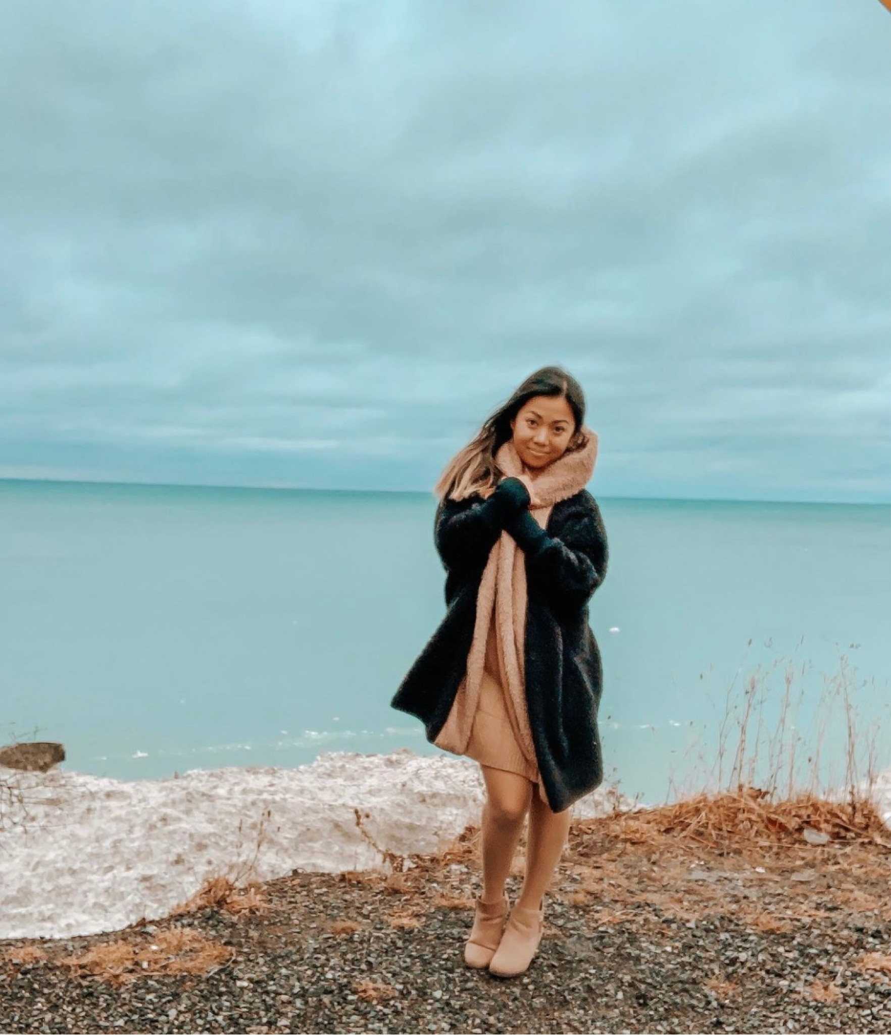 Sweater Dress & Teddy Sweater 

#LTKHoliday #LTKSeasonal #LTKunder100