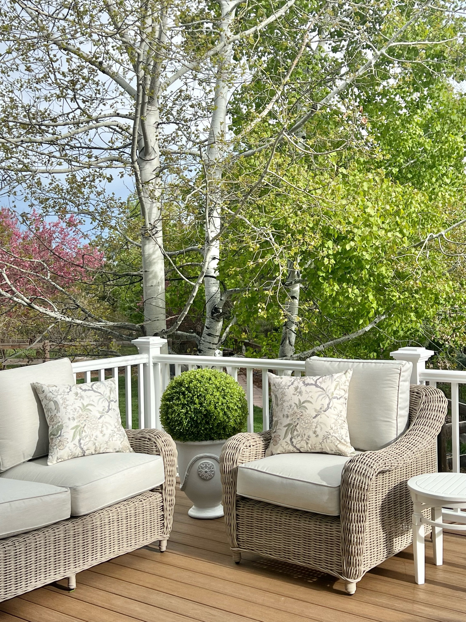 Shop these adorable outdoor pillows and more!

#LTKHome #LTKStyleTip