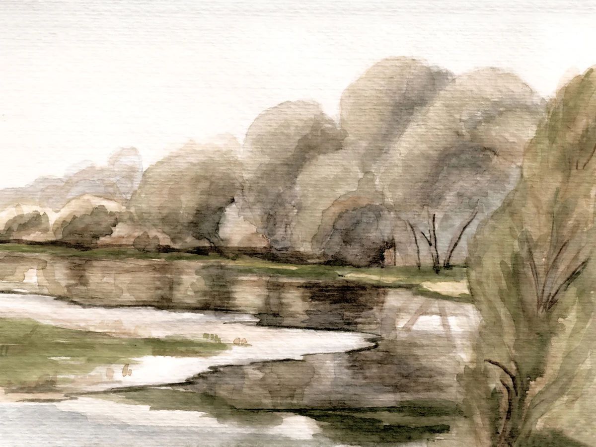 Willows at the River | Collection Prints