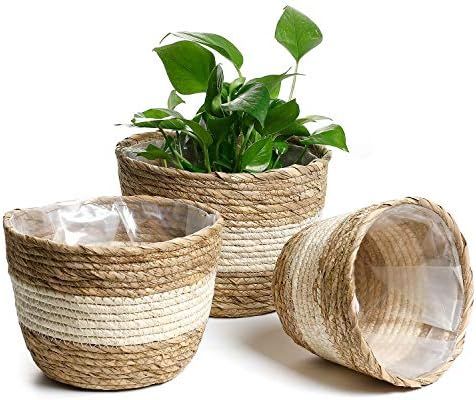 Amazon.com: POTEY 740102 Seagrass Planter Basket - Set of 3 Hand Woven Basket Indoor Outdoor Stor... | Amazon (US)
