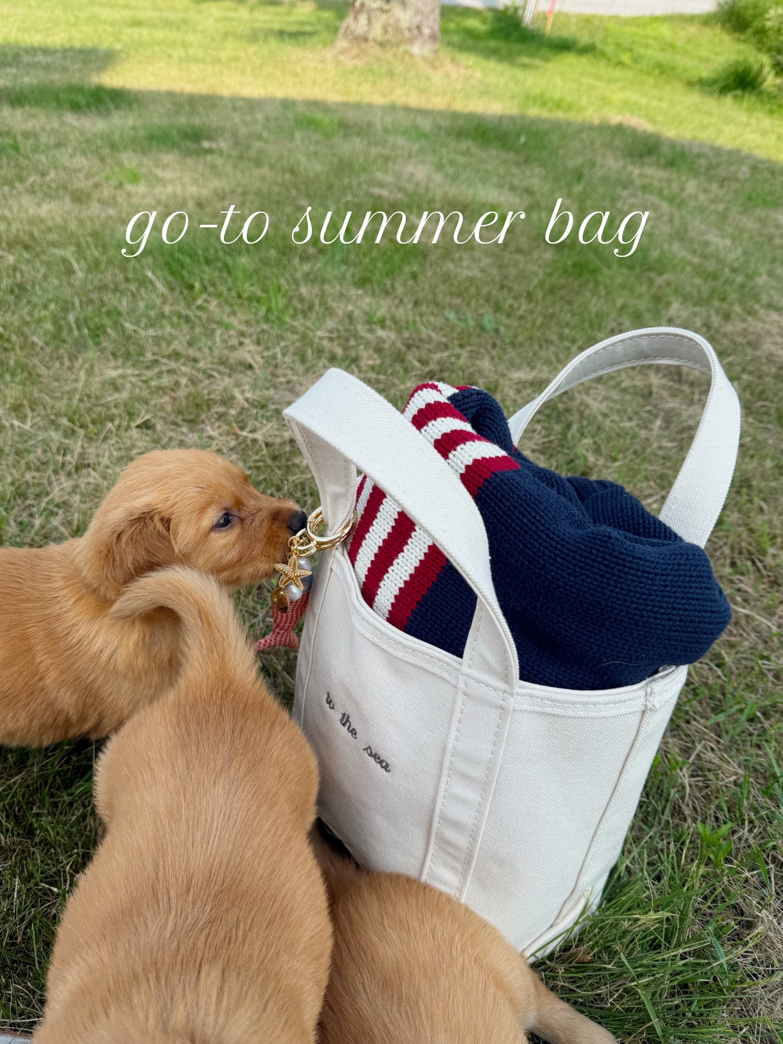 most reached for so far this summer 

#LTKItBag #LTKSeasonal #LTKSummerEdit