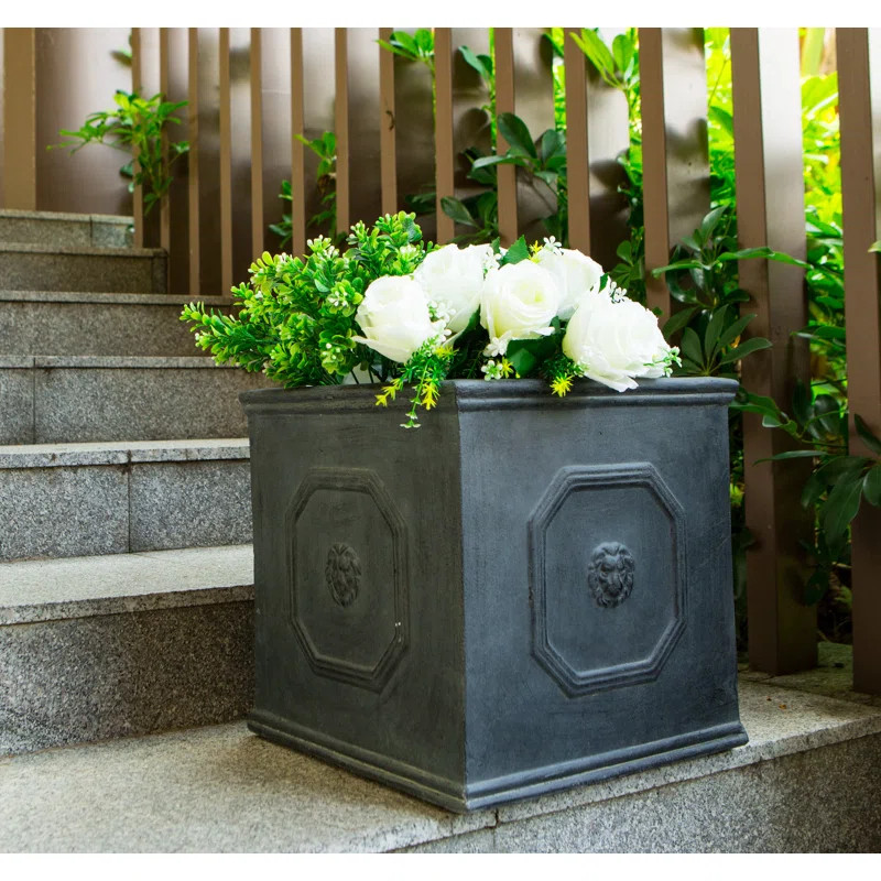 Bloomsbury Market Hillevi Concrete Planter Box & Reviews | Wayfair | Wayfair North America