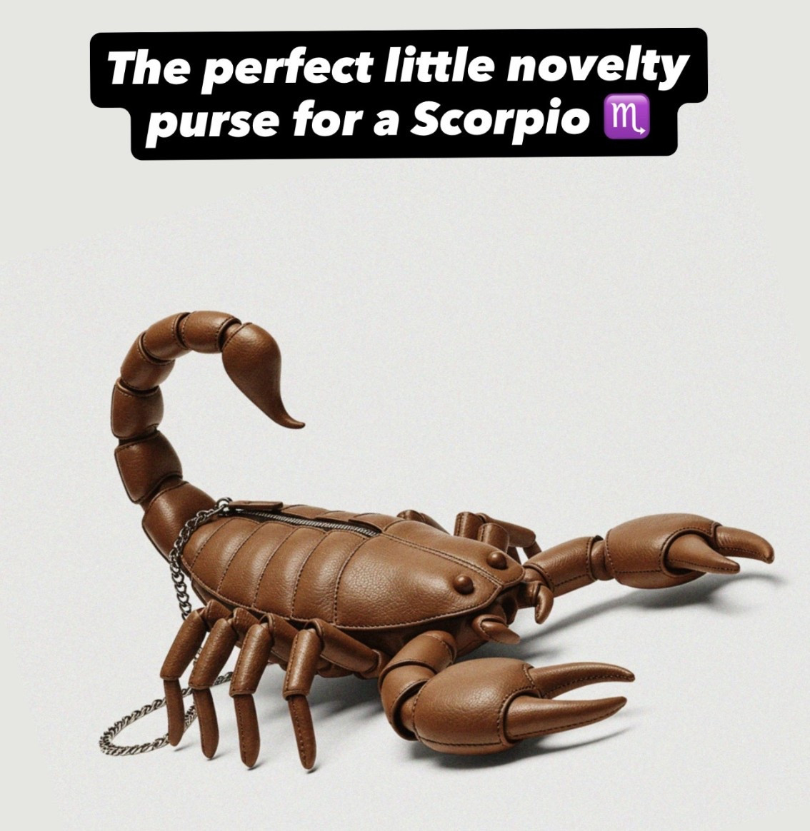 Cute novelty purse alert 🚨 

#LTKItBag #LTKStyleTip