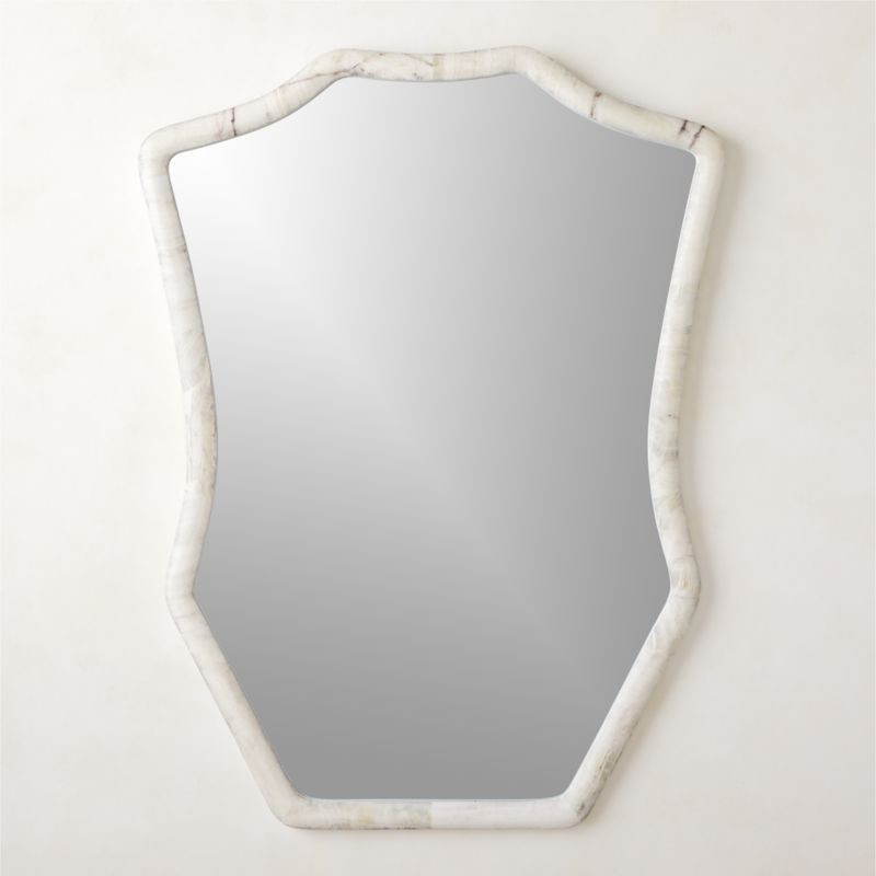 Onyx Framed Wall Mirror 36"x48" + Reviews | CB2 | CB2