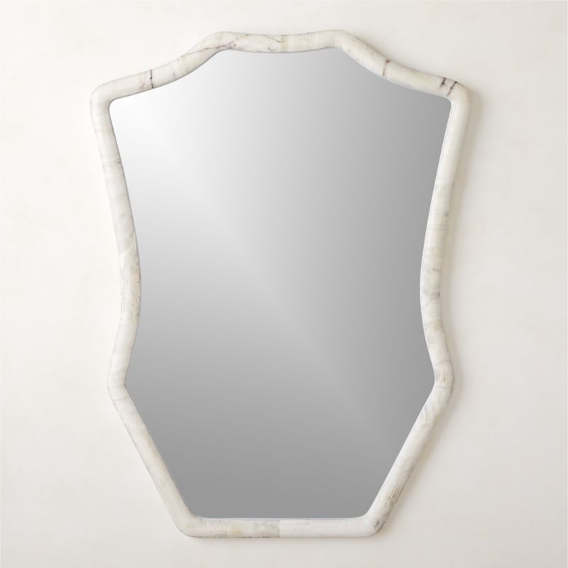 Onyx Framed Wall Mirror 36"x48" | CB2 | CB2