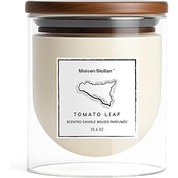Tomato Leaf Candle by Maison Sicilian | Inspired by Tomato Leaves – Authentic Tomato Vine Scent... | Amazon (US)