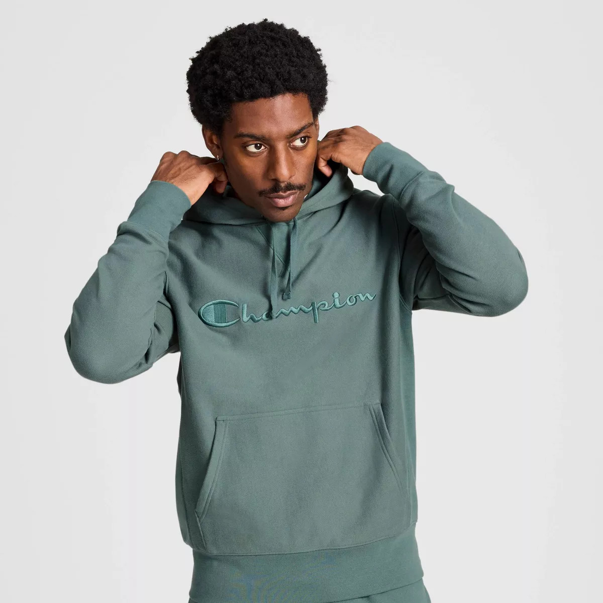 Champion Adult Sizing Iconic Embroidered Hoodie | Target