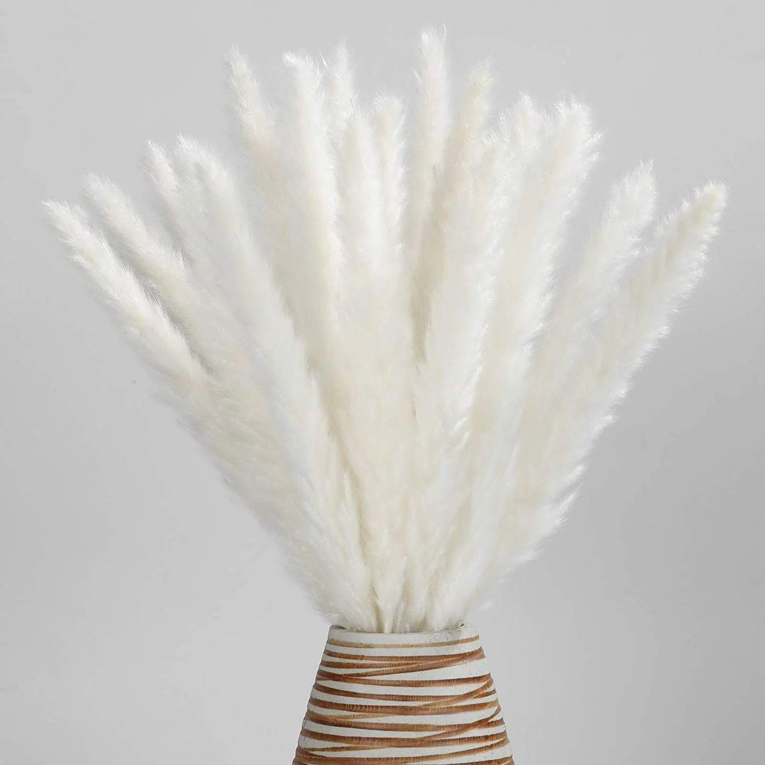Dried Pampas Grass -Natural,30 pcs Reed Grass Plumes, Dried Flower Bouquet for DIY Home Kitchen W... | Walmart (US)