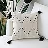 Hand Woven Tassels Throw Pillow Cover - Moroccan Cotton Beige with Black Geometric Pattern Pillow... | Amazon (US)