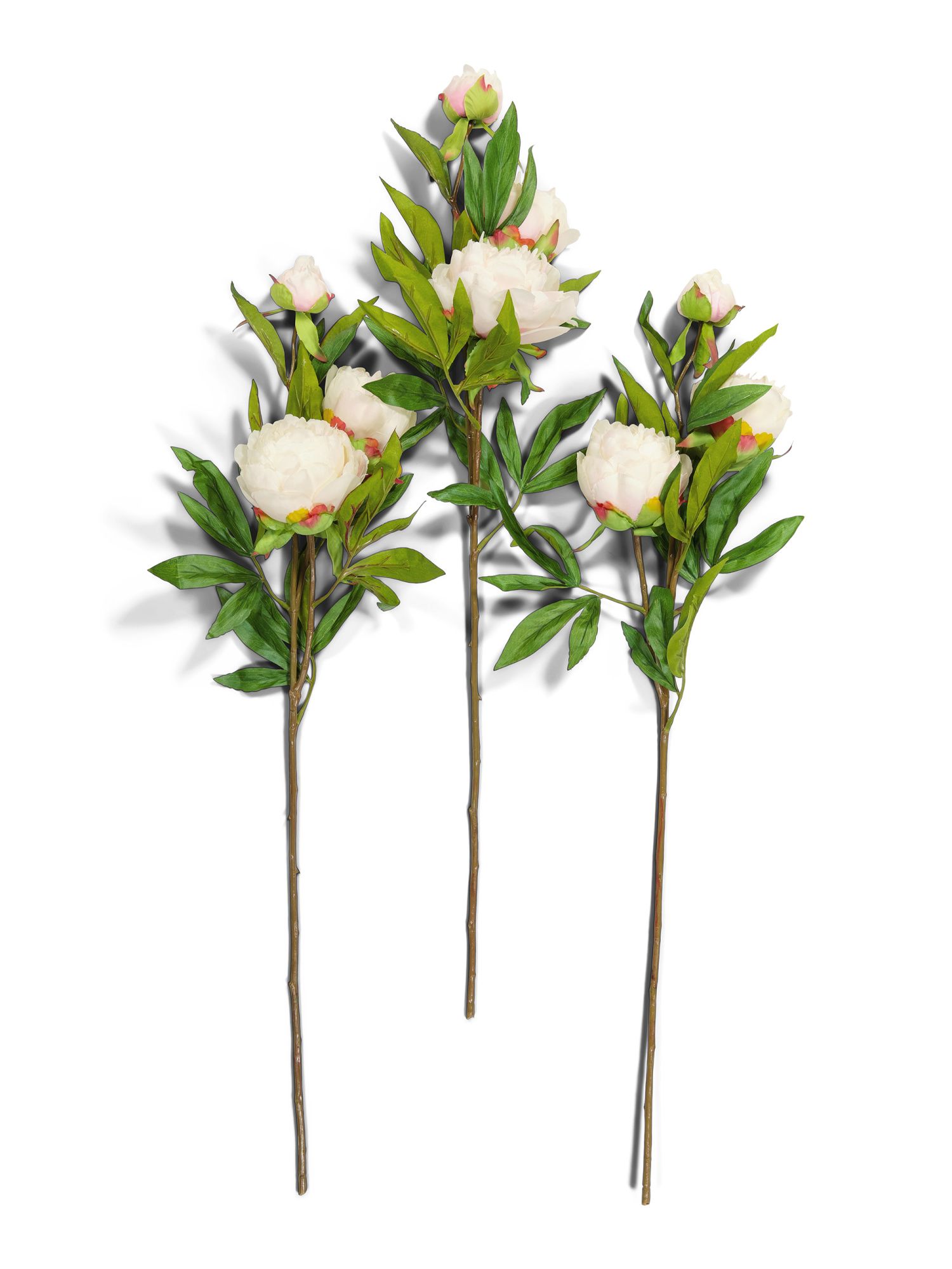 Set Of  3 29inch Peony Flowers | TJ Maxx