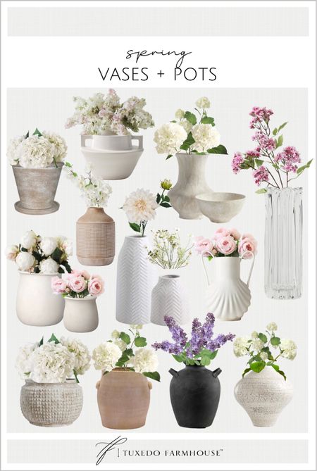 Pretty vases, pots and planters for your spring arrangements. 

spring decor, home decor

#ltkunder50
#ltkunder100

#LTKFind #LTKhome #LTKSeasonal