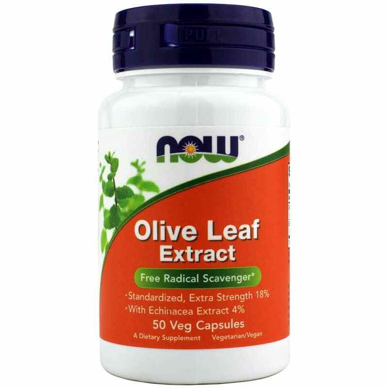 NOW Foods Olive Leaf Extract 50 Veg Capsules | Natural Healthy Concepts