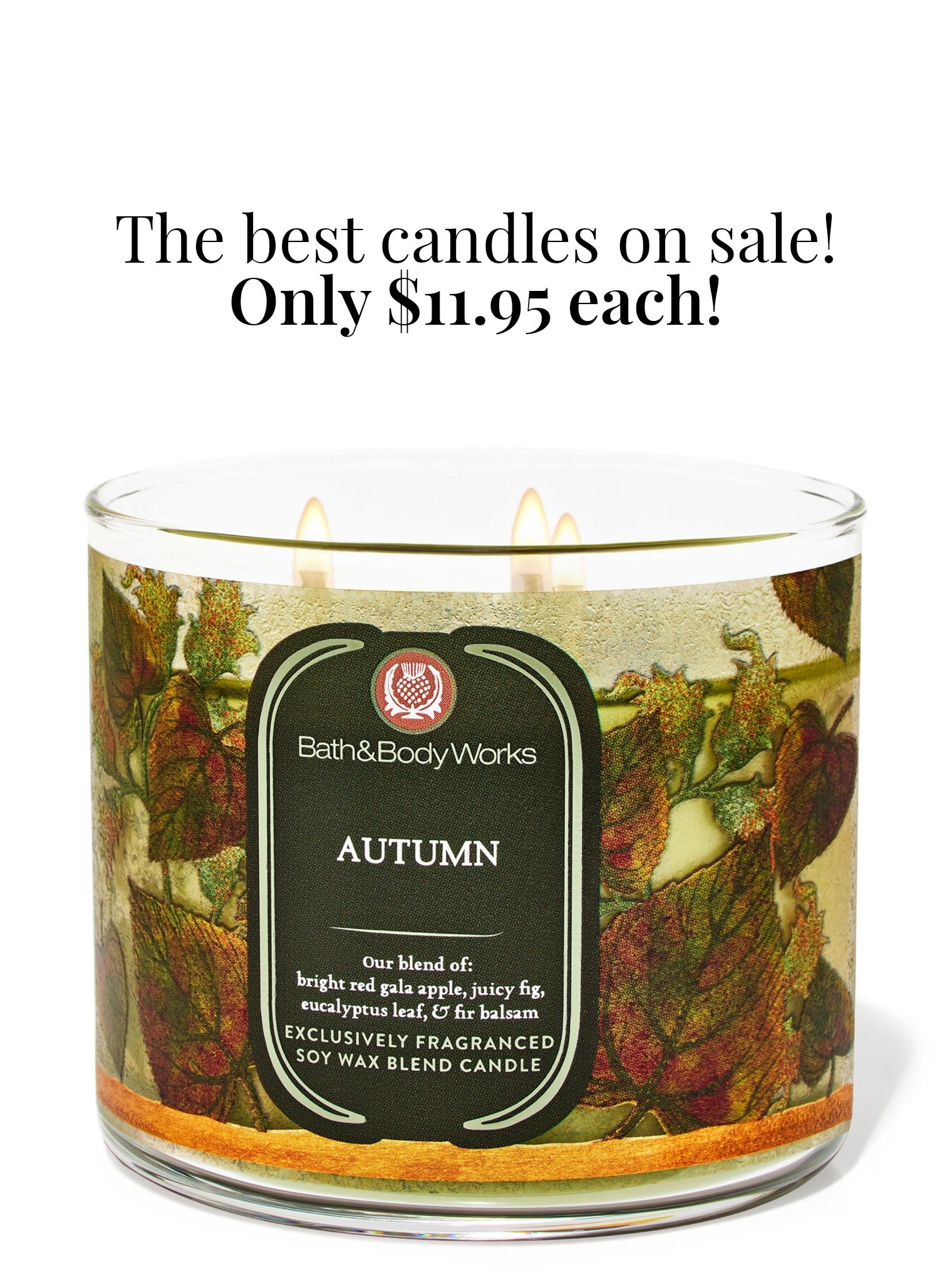 Fall candles

Bath and body works Sale Fall Home Decor Candle 

#LTKSaleAlert #LTKSeasonal #LTKHome