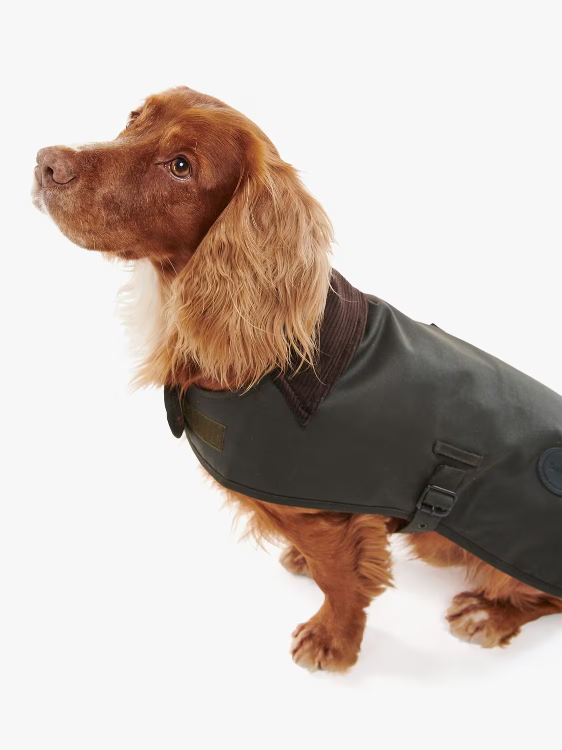 BarbourWaxed Dog Coat, Dark Brown | John Lewis (UK)