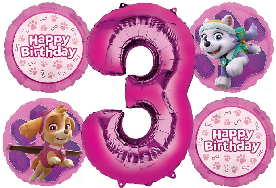 Skye and Everest 3rd Birthday Party Supplies Girl Paw Pups on Patrol Balloon Bouquet Decorations ... | Amazon (US)