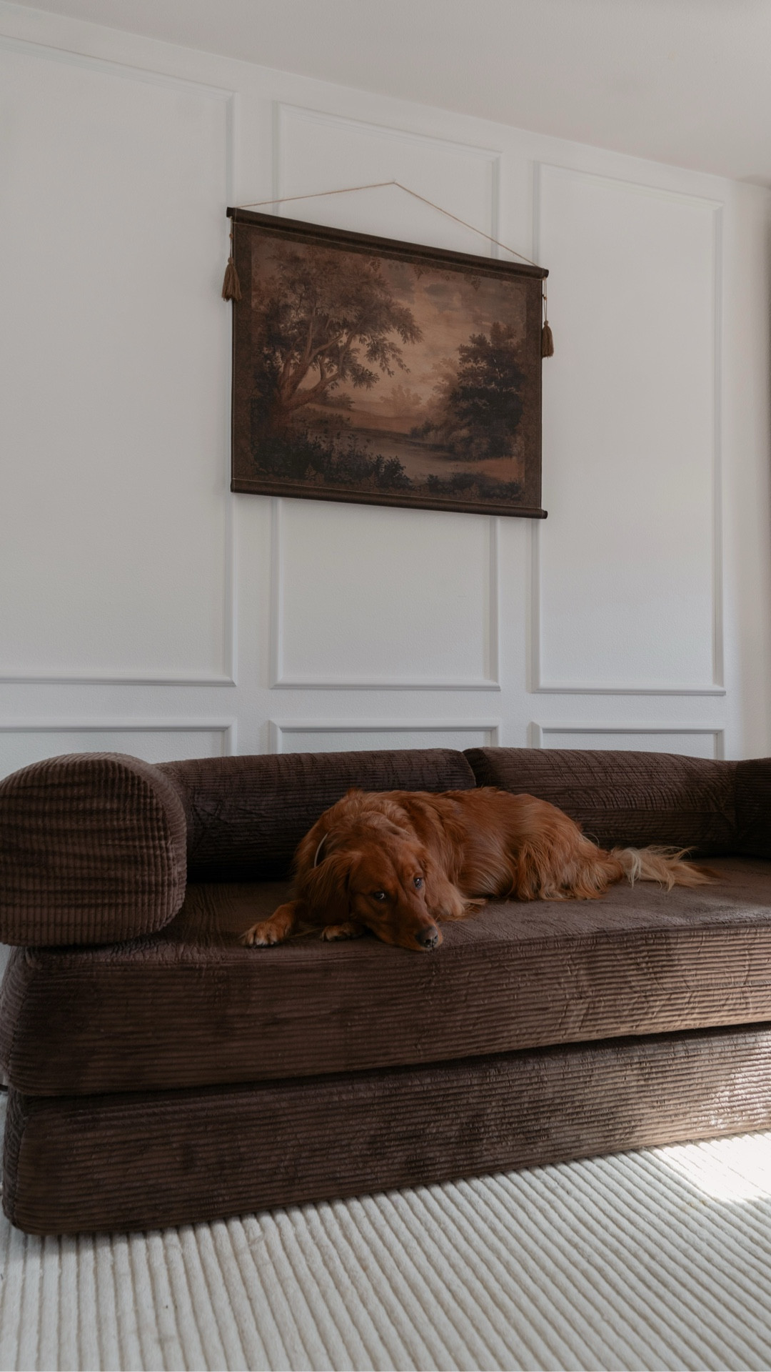 I ordered a vacuum-sealed couch (I know..sounds insane!) and didn’t know what to expect… but I get it now.

This @primy.office sofa is perfect for my loft - it folds out into a bed and can be styled 4+ ways! (The last way is my fave!)

Safe to say: 1000/10 recommend.

I can't link this exact one, but I found similar!
.
.
.
#cozyliving #HomeDecor #livingroominspo #sectionalsofa #modularsofa
cozyhome modernhome warminteriors neutraldecor homeinspiration familyhome interiordesign slowliving comfortathome aestheticinterior livedinhome homestyle cozyvibes

#LTKHome