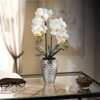 Regency International 24 in. White Artificial Orchid in Pot MTF21569-WHT - The Home Depot | The Home Depot