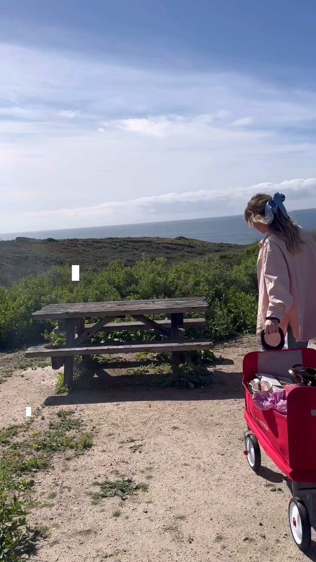 My go to Picnic Fan 🫶🏼 

#LTKfindsunder50 #LTKVideo #LTKActive